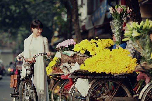 Người Hà Nội chơi hoa - 1