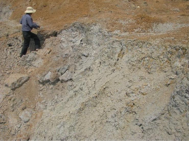 Kinh doanh - Việt Nam có "kho báu" lớn thứ hai thế giới, thế kỷ này ai cũng cần, đó là gì?