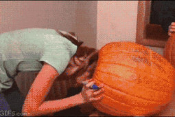 Tranh vui - Không thể nhịn cười với những pha mắc kẹt hài hước khó đỡ