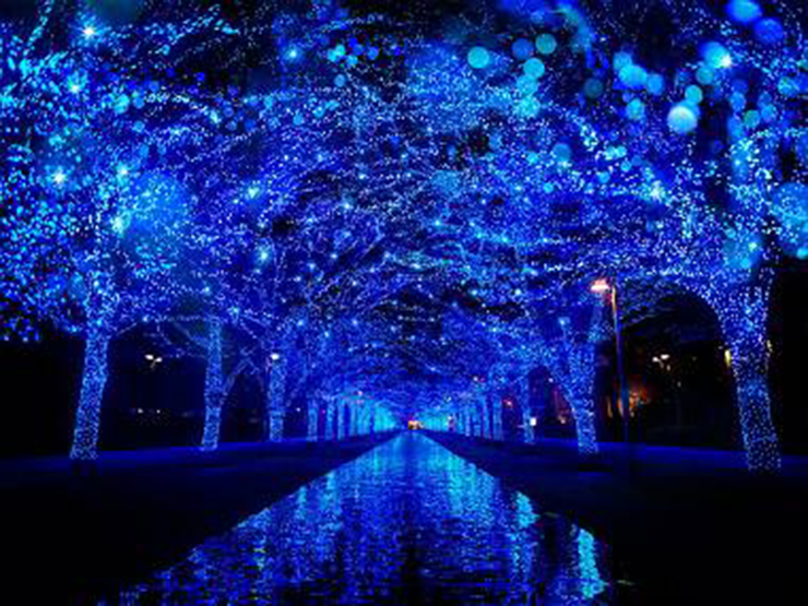 Shibuya Ao no Dokutsu: Với tên gọi có nghĩa là 'hang động màu xanh', màn trình diễn ánh sáng rực rỡ sẽ khiến các con phố nhỏ của Shibuya lộng lẫy hơn cho đến ngày Giáng sinh. Được bố trí dọc theo con đường dài 800m từ Koen-dori đến tận Công viên Yoyogi, hệ thống chiếu sáng này có khoảng 600.000 đèn LED màu xanh phản chiếu xuống mặt đất để tạo ra trải nghiệm ánh sáng sống động.