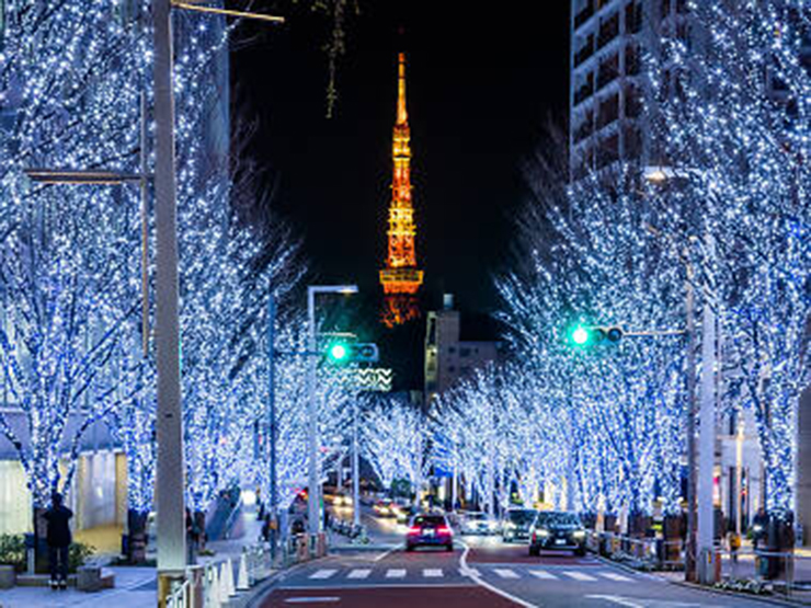 Chiếu sáng Keyakizaka: Từ 5 giờ chiều đến 11 giờ tối hằng ngày, phố Keyakizaka dài 400m cạnh trung tâm mua sắm Roppongi Hills sẽ được thắp sáng bằng 800.000 đèn LED trắng và xanh lấp lánh cho đến ngày Giáng sinh. Từ cây cầu dành cho người đi bộ gần Roppongi Hills, du khách sẽ có được tầm nhìn tuyệt đẹp ra những hàng cây được bao phủ trong ánh đèn lung linh với tháp Tokyo ở phía sau.