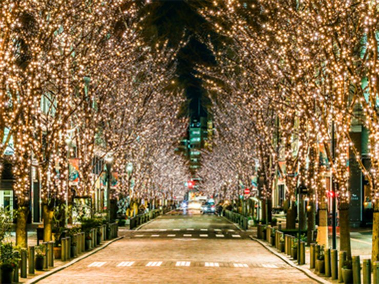 Lễ hội ánh sáng Marunouchi: Con phố Marunouchi Naka-dori dài 1,2 km luôn là một trong những điểm chiếu sáng nổi tiếng nhất ở Tokyo, sẽ được thắp sáng với khoảng 1,2 triệu bóng đèn LED tiết kiệm năng lượng. Ánh đèn màu rượu sâm panh lấp lánh tạo nên một màn trình diễn ấn tượng và thân thiện với môi trường. Công viên Tokyo Torch cũng sẽ được thắp sáng và bạn có thể chiêm ngưỡng khung cảnh tuyệt đẹp từ những băng ghế trên Tokyo Torch Terrace.