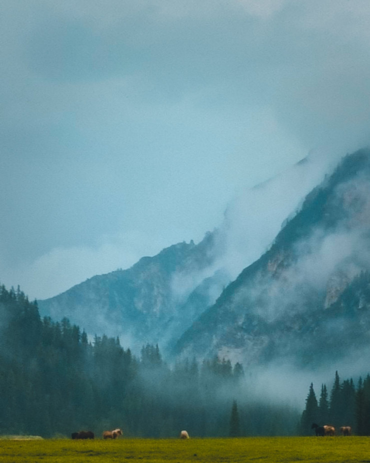 Du khách dừng chân nghỉ đêm ở trại camping dưới chân núi trước khi lên đỉnh Tre Cime Di Lavadero vào sáng sớm hôm sau.