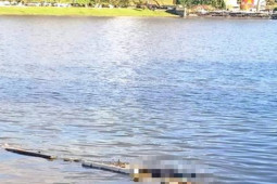 Pháp luật - Phát hiện thi thể người đàn ông nổi trên hồ Xuân Hương Đà Lạt