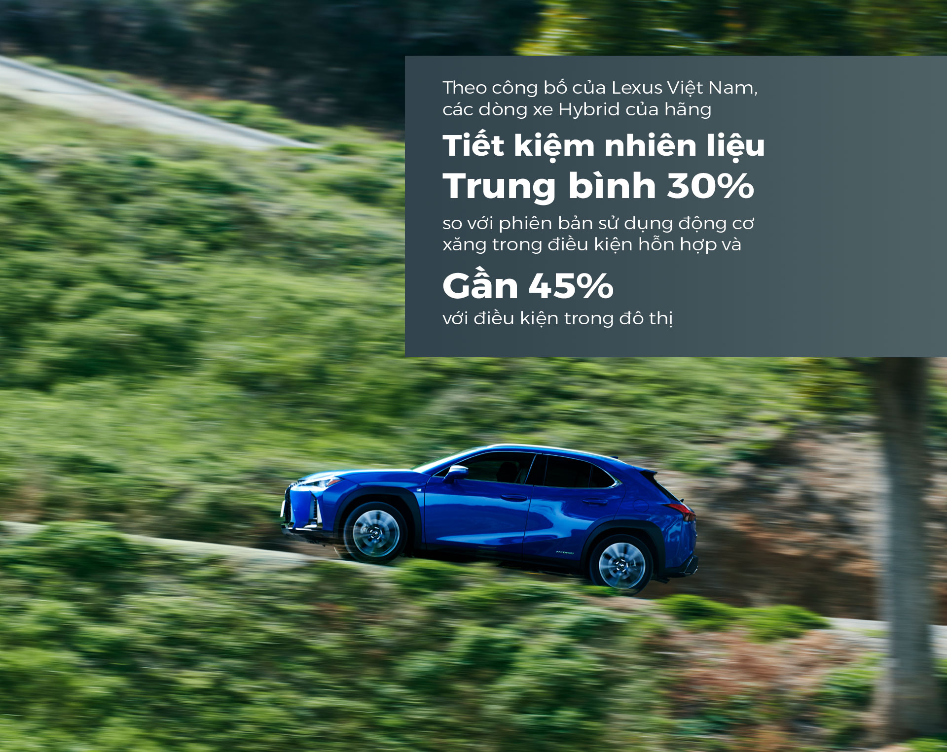 Sự kiên định tạo thành công cho Lexus - 12