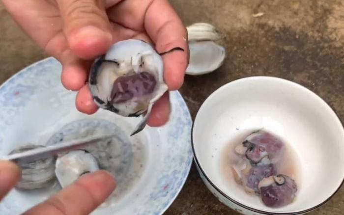 Du lịch Quảng Ninh, chắc chắn người dân địa phương sẽ gợi ý bạn nếm thử vị ngon của những con ngán biển. Đây là một loại hải sản quý và khá hiếm, không phải ai&nbsp;cũng từng có dịp thưởng thức.&nbsp;