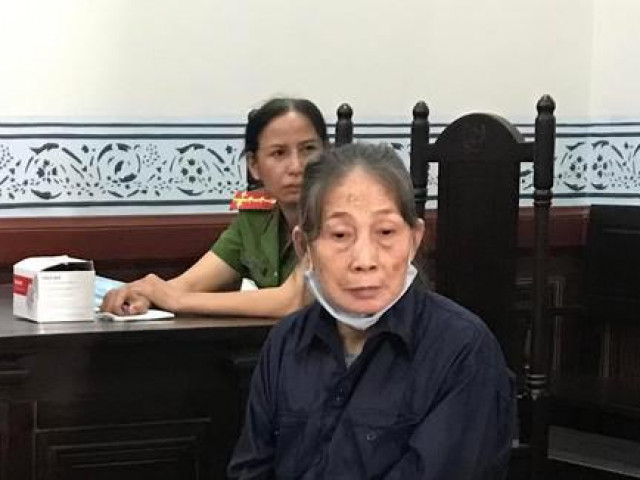 Pháp luật - Làm giả 16 sổ hồng nhà đất mang đi lừa hàng chục tỷ đồng