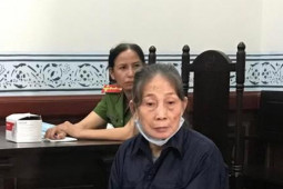 Pháp luật - Làm giả 16 sổ hồng nhà đất mang đi lừa hàng chục tỷ đồng