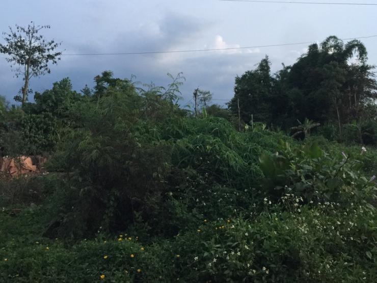 Kinh doanh - Giá đất lao dốc và những vụ “bỏ của chạy lấy người” của giới đầu cơ bất động sản