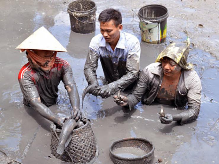 Thị trường - Tiêu dùng - Loại cá quê trước có đầy ở ruộng, đem phơi khô thành đặc sản giá 400.000 đồng/kg