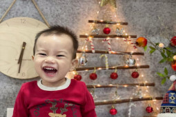 Thị trường - Tiêu dùng - Cành củi khô bỗng đắt hàng dịp Noel, giá lên đến cả trăm nghìn/bó