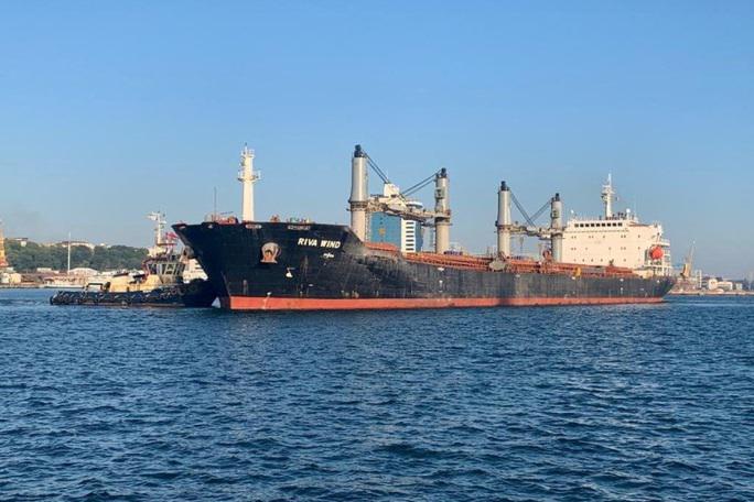 Tàu chở ngũ cốc tại cảng ở Odesa - Ukraine. Ảnh: Reuters