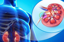 Sức khỏe đời sống - 2 quả thận quý hơn vàng bị tổn hại nặng nề vì nhiều người không biết điều này