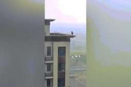 Phi thường - kỳ quặc - Video: "Thót tim" trước cảnh đứa trẻ vô tư đi lại trên bờ tường tầng 28 chung cư
