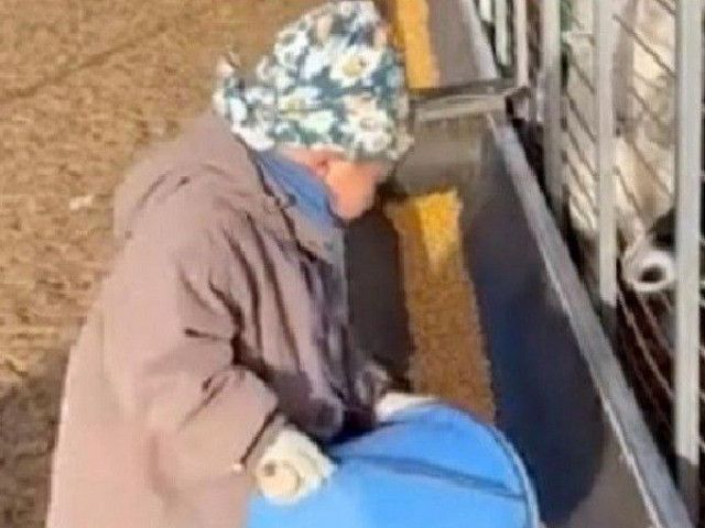 Bạn trẻ - Cuộc sống - Cậu bé 5 tuổi làm nông khiến dân mạng "ngả mũ" thán phục