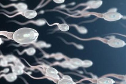 Sức khỏe đời sống - Suy giảm tinh trùng do sai lầm khi bổ sung testosterone