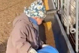 Bạn trẻ - Cuộc sống - Cậu bé 5 tuổi làm nông khiến dân mạng "ngả mũ" thán phục