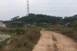 Pháp luật - Cái chết bí ẩn của người buôn cá: Vụ cướp kinh hoàng lúc rạng sáng ở cánh đồng thôn Hồ Trúc