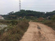 Cái chết bí ẩn của người buôn cá (P1):  Vụ cướp kinh hoàng lúc rạng sáng ở cánh đồng thôn Hồ Trúc