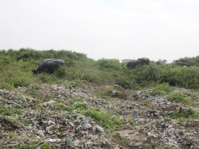 CLIP: Cận cảnh núi rác 84.000 tấn bị bỏ quên giữa thành phố