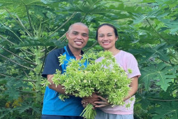 Kinh doanh - Khởi nghiệp với loại cây từng bị chặt bỏ, 8x Hoà Bình thu hàng chục triệu đồng/tháng