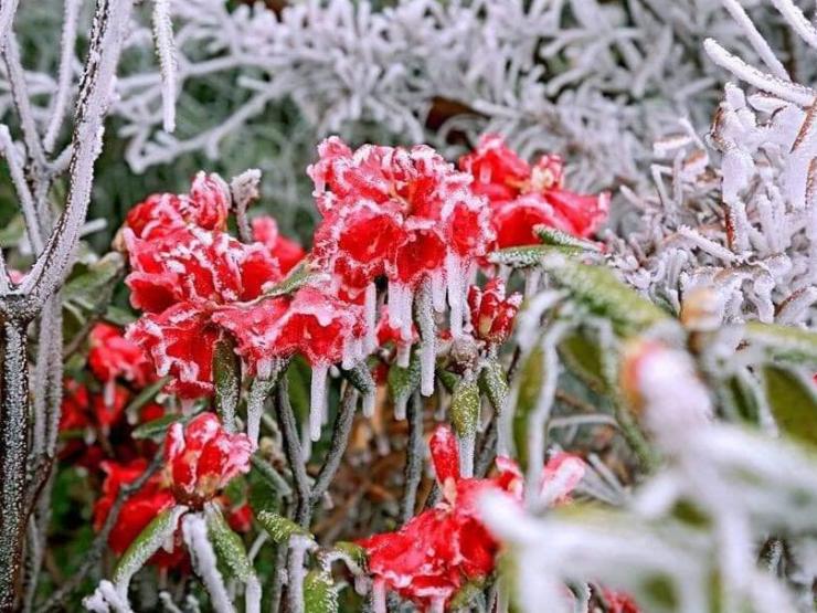 Tin tức trong ngày - Miền Bắc sắp hứng đợt rét sâu nhất kể từ đầu đông, có nơi dưới 0 độ C