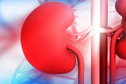 Sức khỏe đời sống - Bệnh thận được mệnh danh là "kẻ giết người thầm lặng", 10 thói quen hại thận hàng đầu
