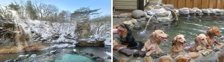 7 khu suối nước nóng đẹp như xứ sở thần tiên tại Tohoku Nhật Bản - 16