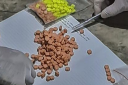 Pháp luật - Thu giữ 401 viên ma túy tổng hợp sắp tuồn vào các tụ điểm ăn chơi