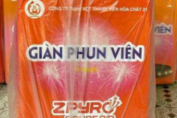 Thị trường - Tiêu dùng - Loạn giá pháo hoa Z121 trước Tết