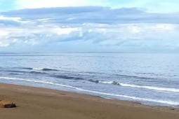 Pháp luật - Một học sinh lớp 12 tử vong bất thường, thi thể trôi dạt vào bờ biển