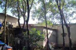 Pháp luật - Đi tìm chồng, người vợ phát hiện sự thật khó tin ở sau nhà