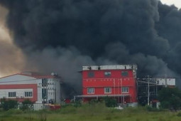 Tin tức trong ngày - Tìm thấy bộ xương nghi của nạn nhân mất tích trong vụ cháy ở Long An