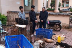 Pháp luật - Vừa ra tù đã cầm đầu đường dây trộm 3 tấn chó liên tỉnh