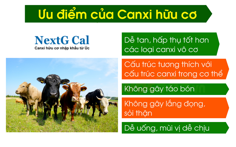 Canxi hữu có cấu trúc canxi tương thích trong cơ thể nên dễ hòa tan và hấp thu, ít bị đọng lắng.
