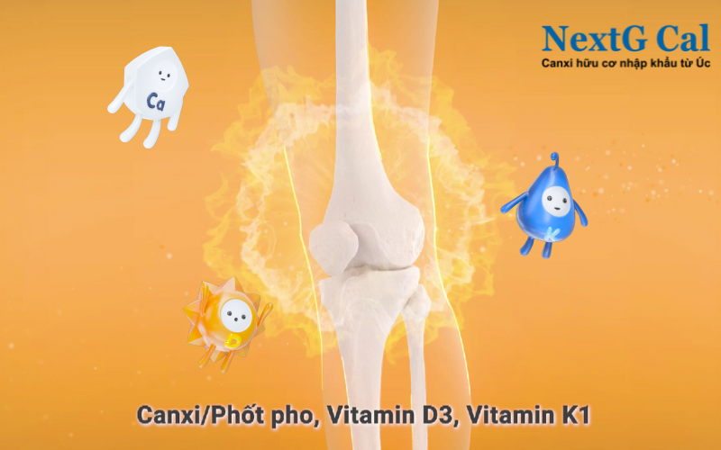 Canxi hữu cơ có thêm vitamin D3, K1, chất khoáng giúp hấp thu hiệu quả không lo nóng.