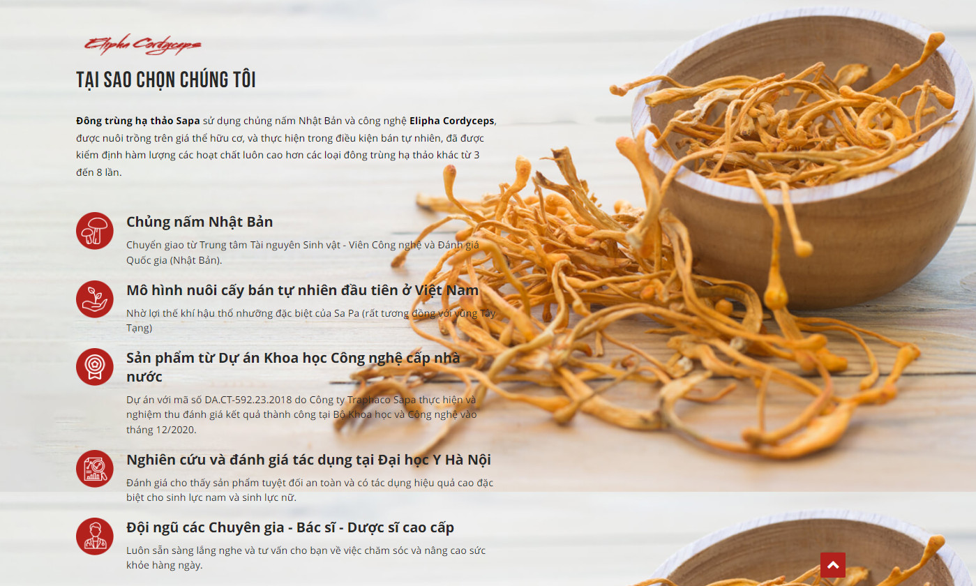 Sản phẩm đông trùng hạ thảo của Traphacosapa.