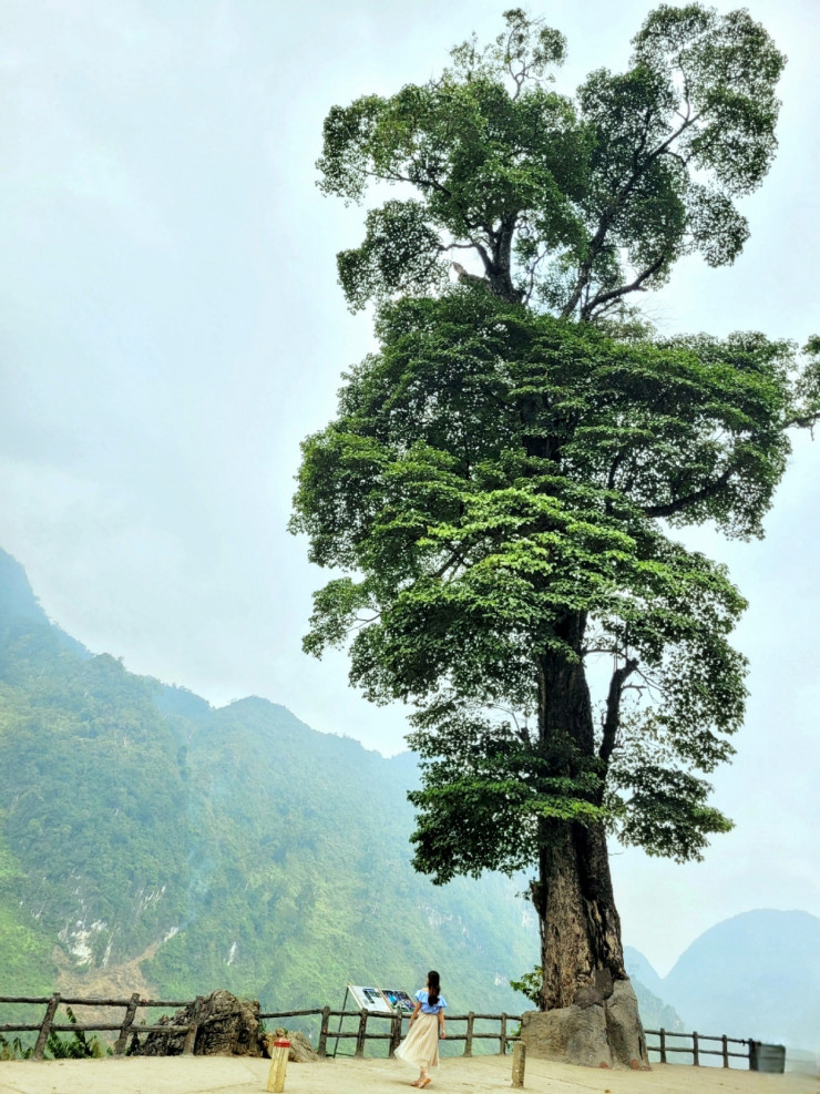 Bí quyết khám phá Hà Giang vào mùa hoa đẹp nhất - 3