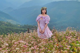 Du lịch - Bí quyết khám phá Hà Giang vào mùa hoa đẹp nhất