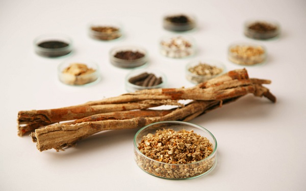 Rễ dâu tằm là 1 trong 2 thành phần thảo dược làm nên sự khác biệt của sữa tắm La’Petal