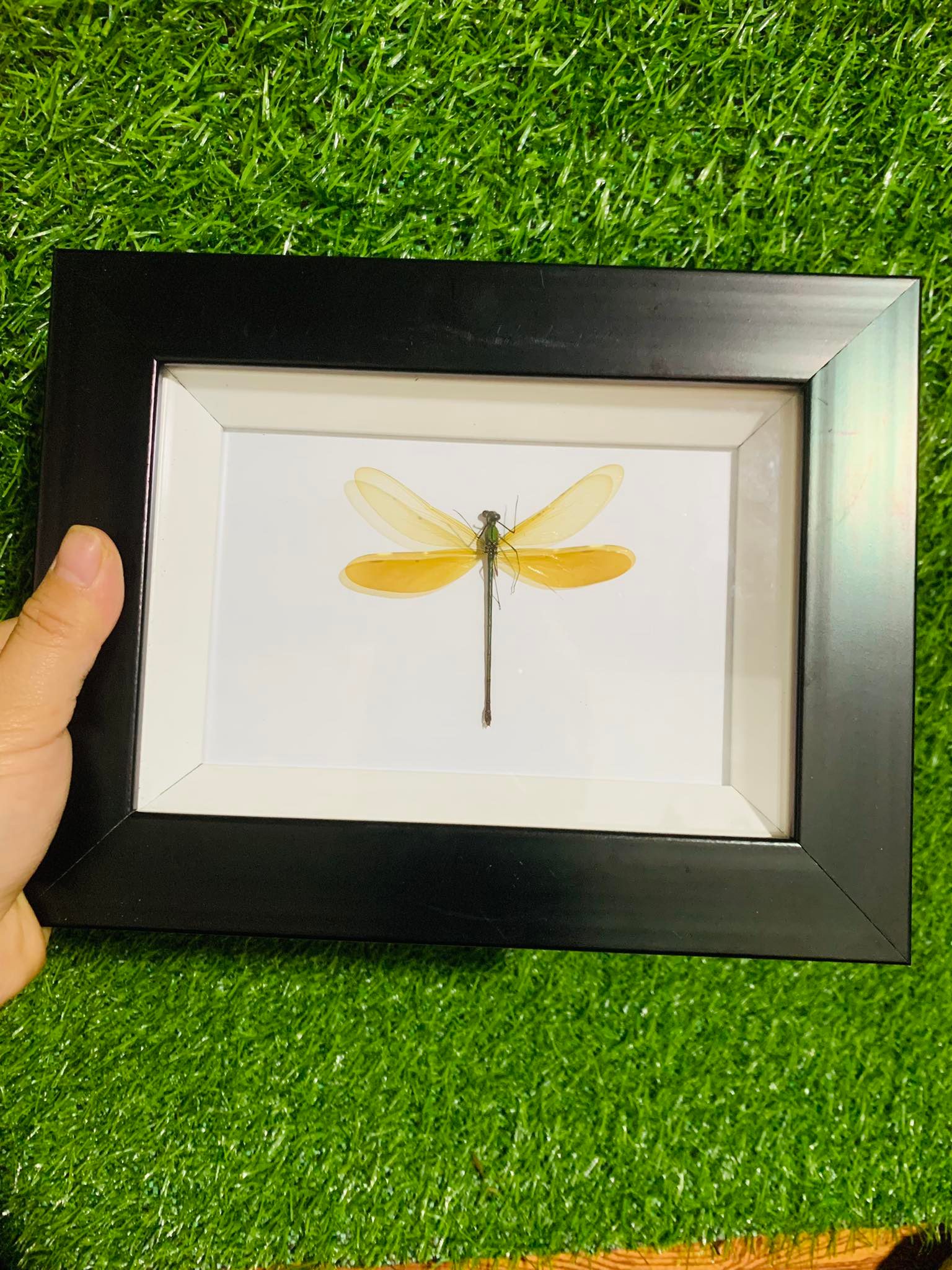 Nếu đóng khung, giá bán từ vài trăm đến vài triệu đồng/sản phẩm.