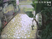 Ô tô - Clip: Thoát nạn thần kỳ khi ngồi uống nước xe bán tải &quot;xé gió&quot; lao tới