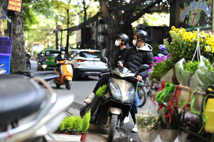 Anh Trần An (28 tuổi ở Cầu Giấy) đã chọn mua 2 cây thông mini. Anh An cho biết, cây thông noel này mua về vừa để chơi trong nhà cho có không khí Giáng sinh, sau đó lại làm cây cảnh trong nhà. Còn một cây thì đem tặng cho người thân.