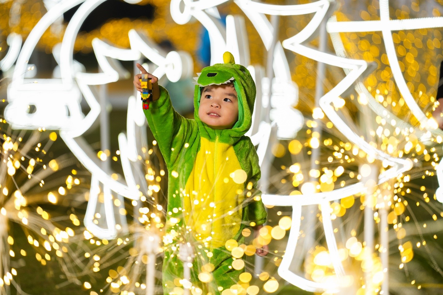 Check-in làng cổ tích ánh sáng thần kỳ tại khu đô thị Ecopark - 4
