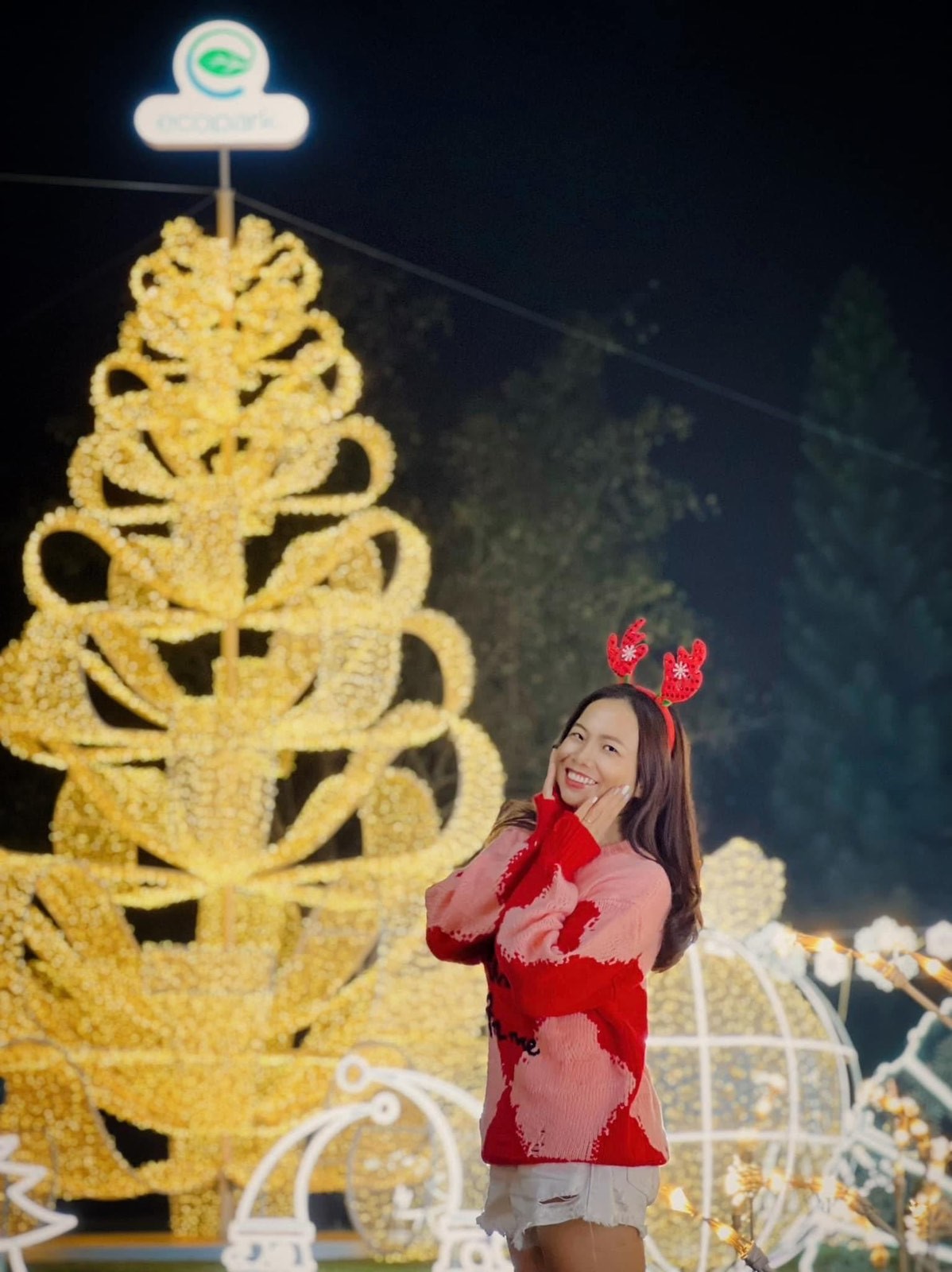 Check-in làng cổ tích ánh sáng thần kỳ tại khu đô thị Ecopark - 6