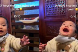 Bạn trẻ - Cuộc sống - Lần đầu thưởng thức phở Việt Nam, biểu cảm của em bé nước ngoài thu hút gần 4 triệu lượt xem