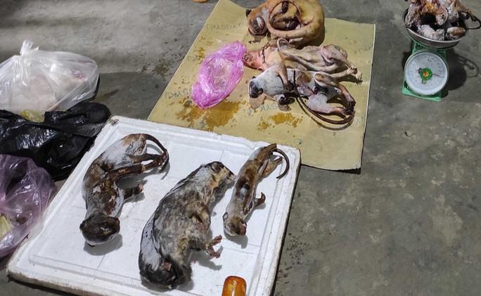 2 phụ nữ gom động vật hoang dã bán cho khách nhậu Tết - 1