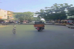 Phi thường - kỳ quặc - Video: Người đàn ông chở cây chuối theo cách không giống ai