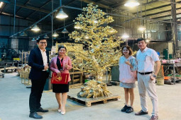 Thị trường - Tiêu dùng - Mãn nhãn với cây cảnh Tết “hàng khủng”, giá từ chục triệu tới vài tỷ đồng