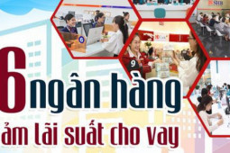 Kinh doanh - [Infographic] Chi tiết 16 ngân hàng cam kết giảm lãi suất cho vay